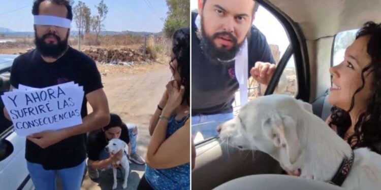 Une jeune femme se venge de son petit ami après avoir abandonné son chien