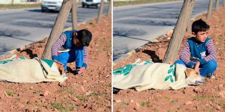 enfant réfugié prend soin chien accidenté voiture