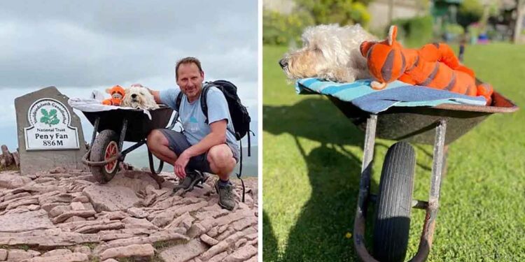 homme emmène chien mourant dernière aventure brouette
