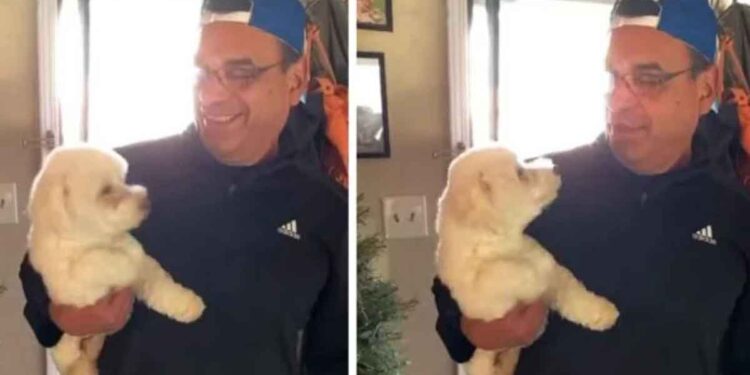 Le mari va chez le toiletteur et rentre à la maison avec le mauvais chien