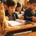 Un chat errant entre dans la classe et décide d'en faire sa maison