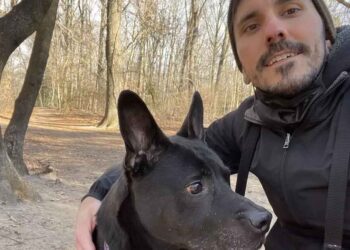 Un homme achète et rénove un chalet dans les bois pour y installer son chien en guise de maison de retraite