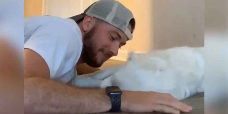 Un homme partage une façon adorable de réveiller son chien sourd et aveugle sans effrayer