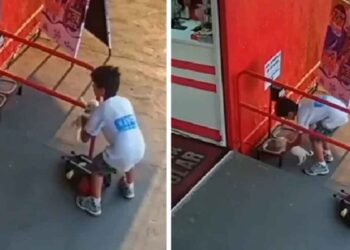 Un petit garçon trouve un chiot et le transporte en lieu sûr dans son sac à dos