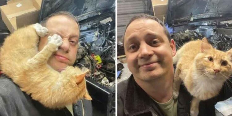 homme trouve un chat sympathique dans son garage en réparant sa voiture