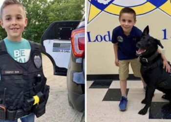 256 chiens policiers ont été équipés de gilets pare-balles grâce à ce garçon de 10 ans