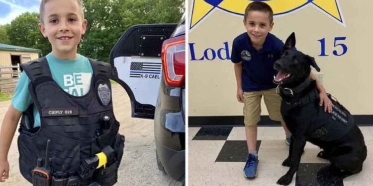 256 chiens policiers ont été équipés de gilets pare-balles grâce à ce garçon de 10 ans 1 256 chiens policiers ont été équipés de gilets pare-balles grâce à ce garçon de 10 ans
