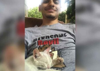 Ce garçon fait une sieste se réveille avec un chaton endormi sur lui