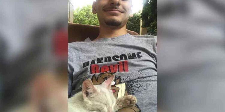 Ce garçon fait une sieste se réveille avec un chaton endormi sur lui