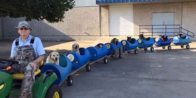 Ce retraité a construit un train pour chiens et les emmène dans de petites aventures 1 Ce retraité a construit un train pour chiens et les emmène dans de petites aventures