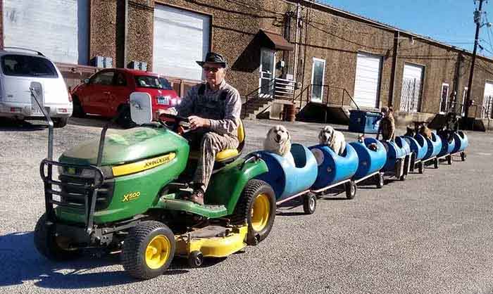 Ce retraité a construit un train pour chiens et les emmène dans de petites aventures