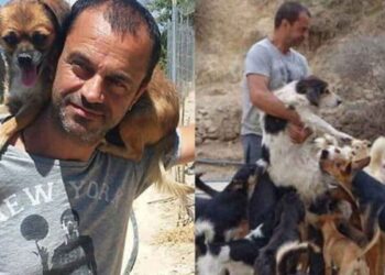 Cet ancien dentiste a tout quitté pour sauver plus de 200 chiens abandonnés