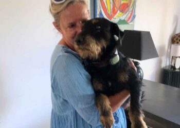 Chien Perdu pendant vacances gard savoie