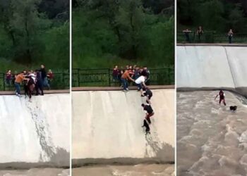 Des jeunes forment une chaîne humaine et pendent au-dessus d'un réservoir pour sauver un chien