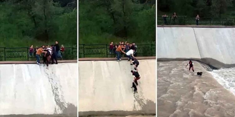 Des jeunes forment une chaîne humaine et pendent au-dessus d'un réservoir pour sauver un chien