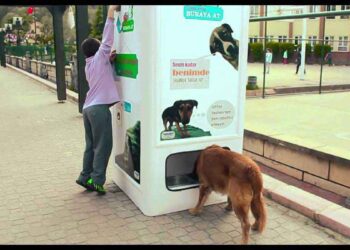 Des machines donnant de la nourriture aux chiens errants en échange de bouteilles en plastique