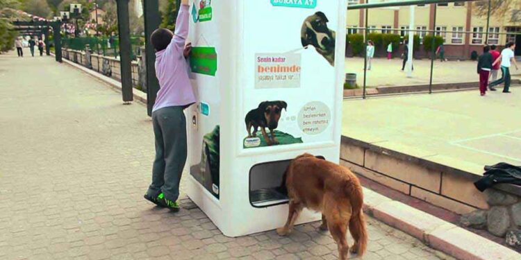 Des machines donnant de la nourriture aux chiens errants en échange de bouteilles en plastique