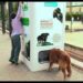 Des machines donnant de la nourriture aux chiens errants en échange de bouteilles en plastique