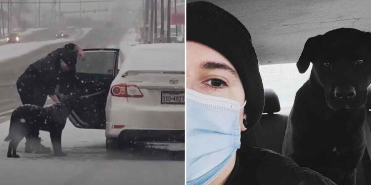 Une femme a utilisé des tortillas pour attirer un chien dans sa voiture et le sauver de la neige abondante 1 Kristin Salinas a utilisé des tortillas pour sauver un chien