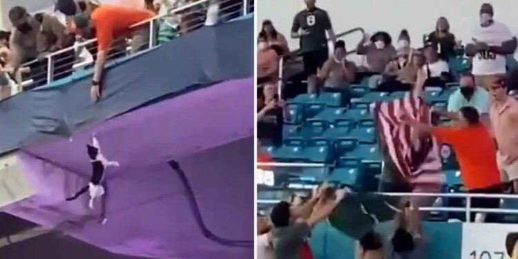 Un chat attrapé par des supporters après être tombé du plus haut niveau du stade 1 Un chat attrapé par des supporters après être tombé du plus haut niveau du stade