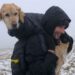 Un couple sauve un chien perdu pendant deux semaines dans les montagnes 8 Un couple sauve un chien perdu pendant deux semaines dans les montagnes