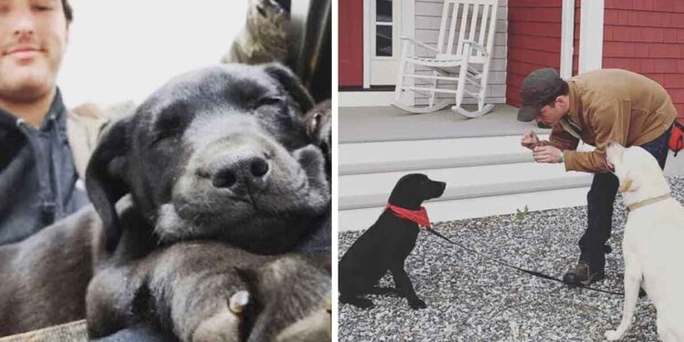 Un homme sourd adopte un chiot sourd et lui apprend la langue des signes 1 Un homme sourd adopte un chiot sourd et lui apprend la langue des signes