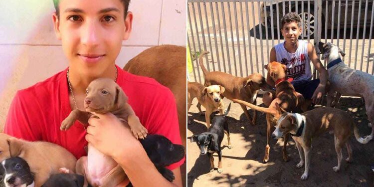 Un adolescent de 17 ans ouvre son propre refuge et sauve 26 animaux en un mois 1 adolescent de 17 ans ouvre refuge sauve 26 animaux en un mois