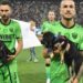 fédération roumaine football présentera chiens match adoption