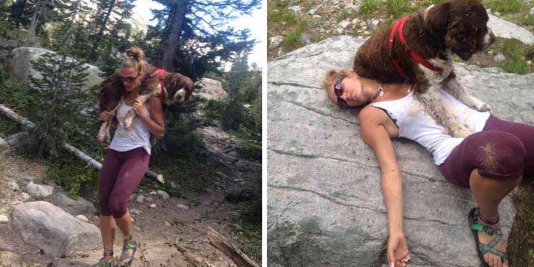 femme porte un chien blessé sur ses épaules pendant 6 heures