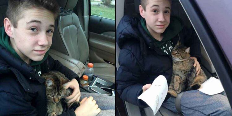 garçon saute voiture sauver chat jeté par conducteur