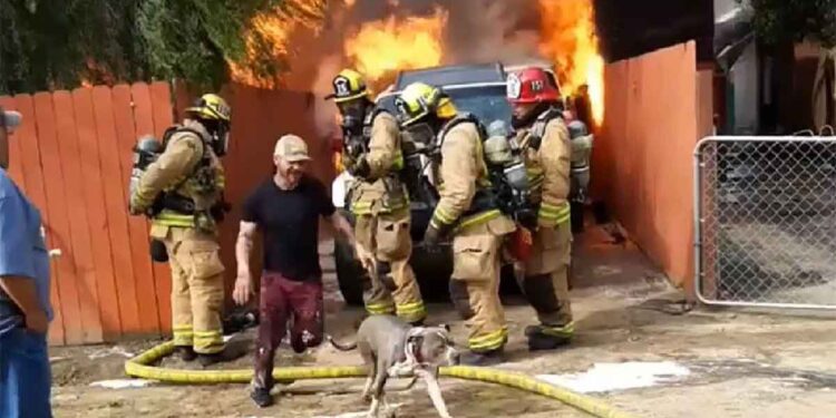 Il a déjoué les pompiers, affronté les flammes et risqué sa vie pour sauver son chien 1 homme déjoué pompiers sauver son chien