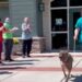 Le chien le plus ancien du refuge est finalement adopté et reçoit une ovation 2 Big Mac chien le ancien refuge reçoit ovation