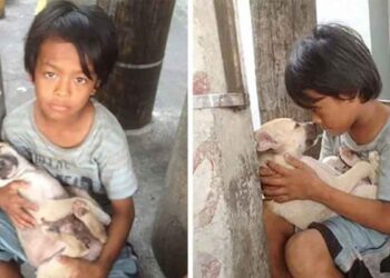 Garçon abandonné trouve confort chien protège