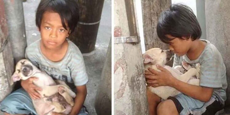 Un garçon abandonné trouve réconfort et amitié dans un chien qui le protège 1 Garçon abandonné trouve confort chien protège