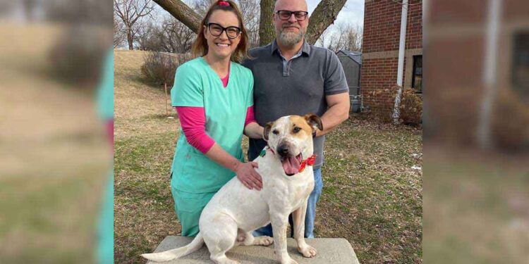 Merrick, le chien qui a trouvé un foyer après cinq ans dans un refuge 1 Merrick chien trouve foyer après 5 ans refuge