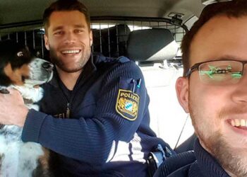 Un chien en fuite ne peut pas croire arrêté