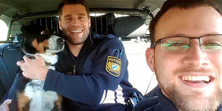 Un chien en fuite ne peut pas croire arrêté