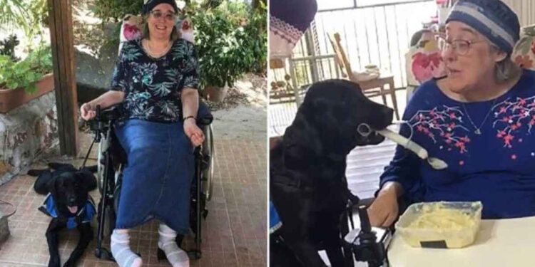 chien assistance façon aider amie