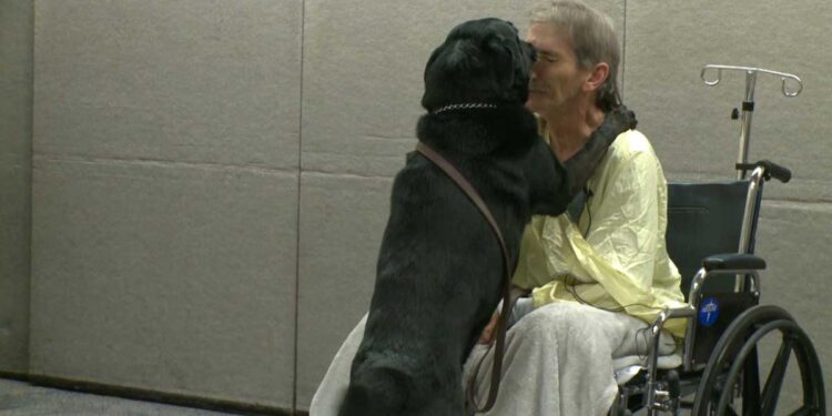 homme risque vie pour sauver chien