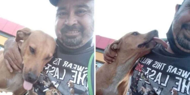 homme sauve chien mordu histoire devient virale