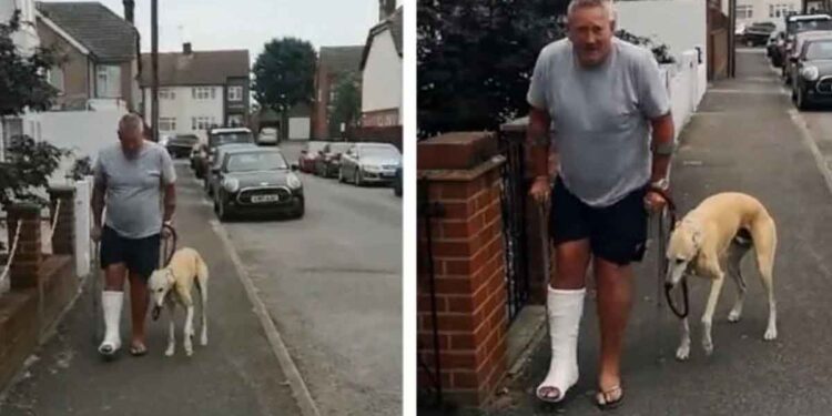 vétérinaire chien boiteux imiter homme