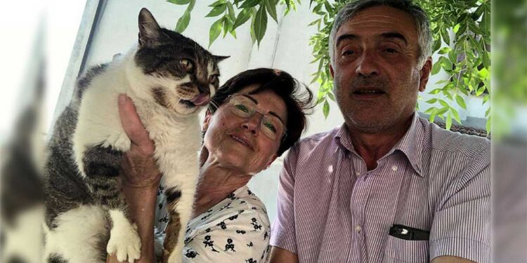 Chat Patata Di Ravenna 32 ans