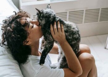 Comment être aimé par un chat