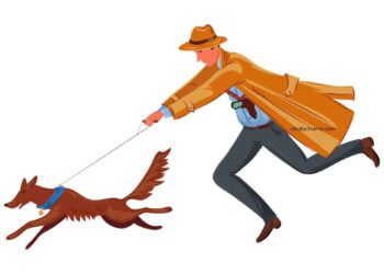 Limiter l'instinct de prédateur chez le chien en 5 étapes 7 Limiter instinct chasse prédateur chien