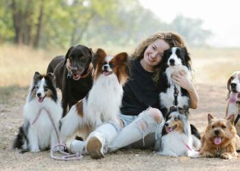 Quelle race de chien choisir