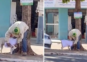 Un sans-abri habille chien vêtements enfantins protéger froid