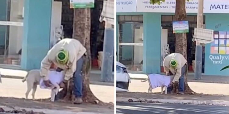 Un sans-abri habille chien vêtements enfantins protéger froid