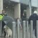 agent sécurité protégé chien avec parapluie