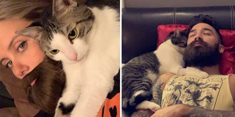 chat obsédé par mari femme séduire fausse barbe