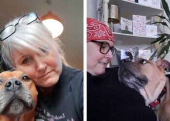 chien trois pattes Louie découvre cancer femme Karen Ethier